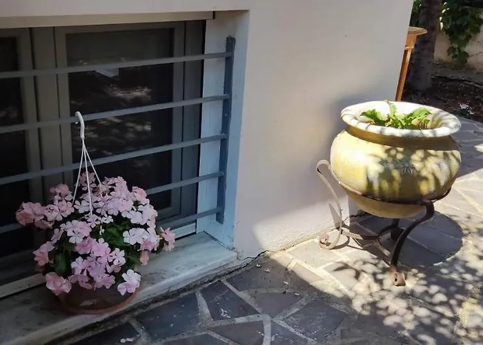 Oasis נאפפליו